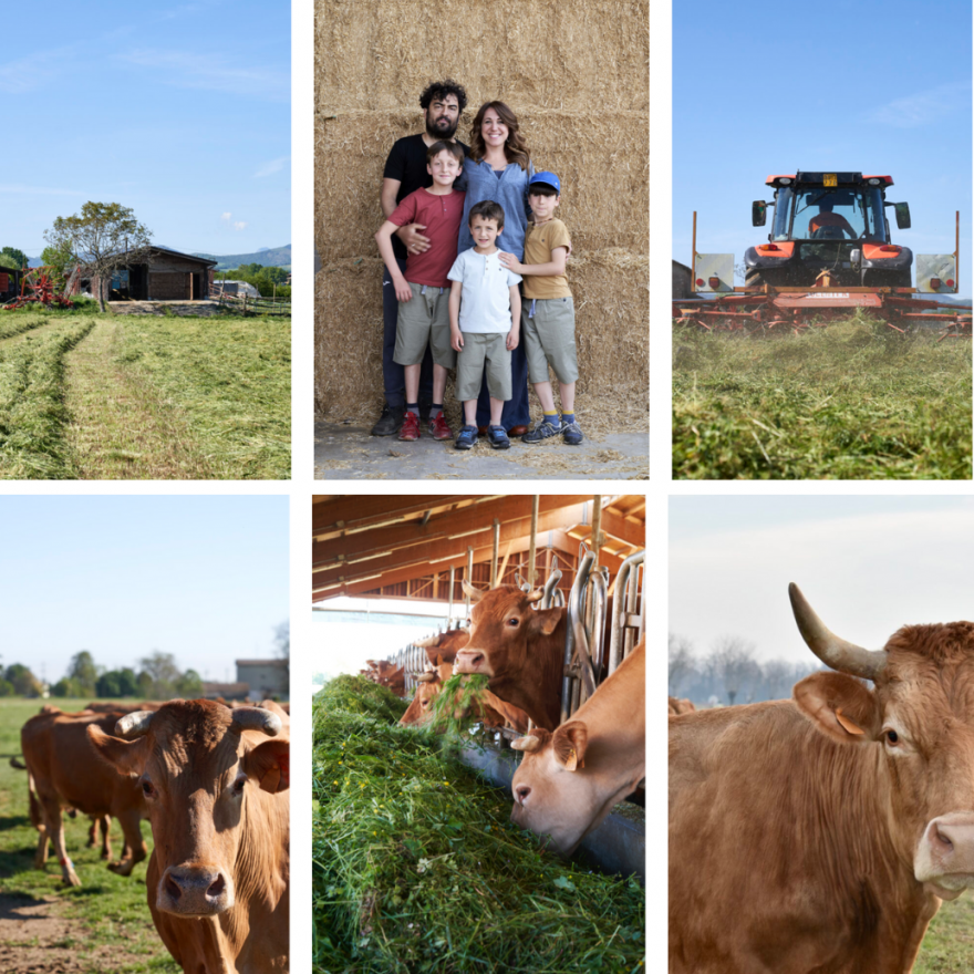 Produttori e Affinatori di Formaggi