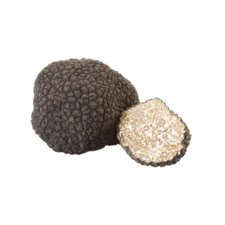 Tartufo