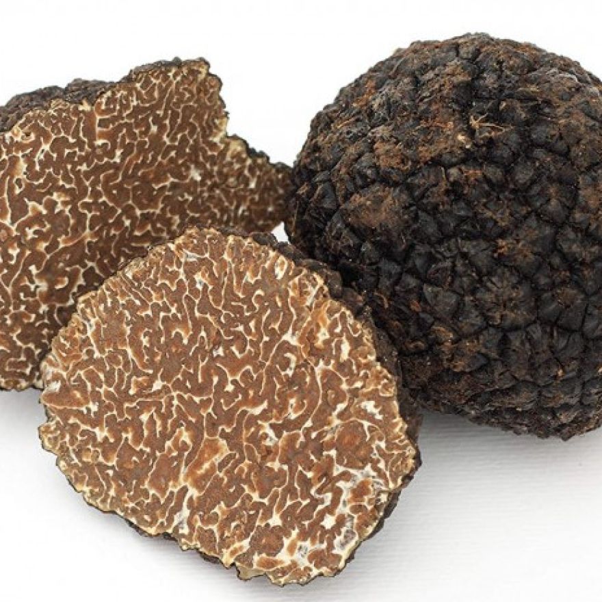 Tartufo